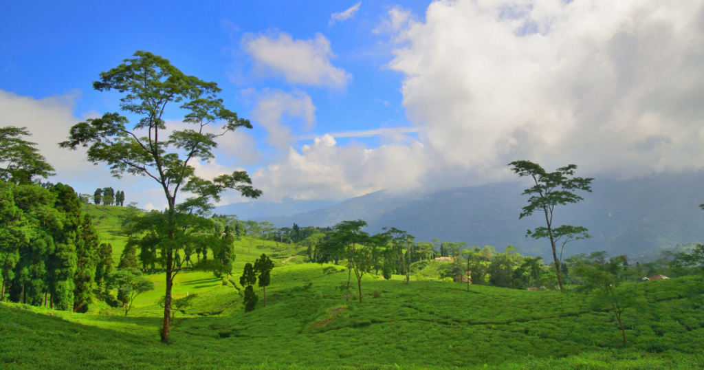 Exploring Takdah